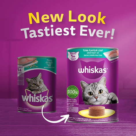 image 8853301742504-4